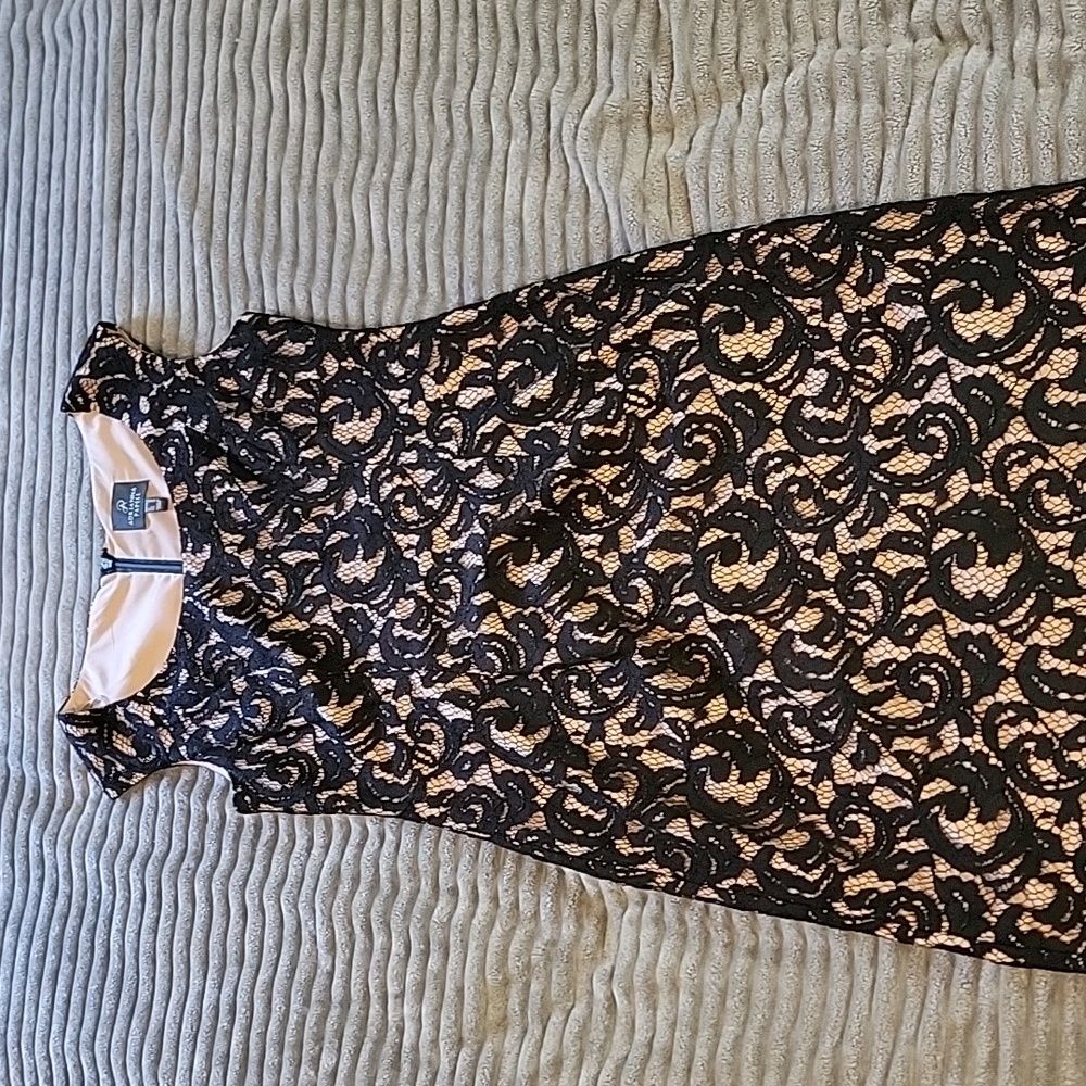 Adrianna Papell womens dress